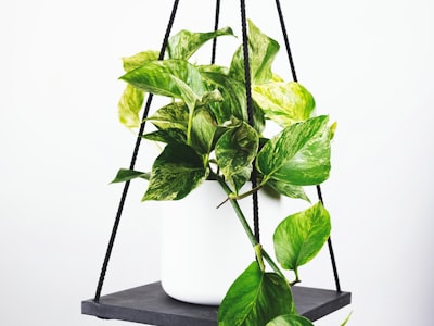 拜仁慕尼黑足球俱乐部球员在安联球场进行训练