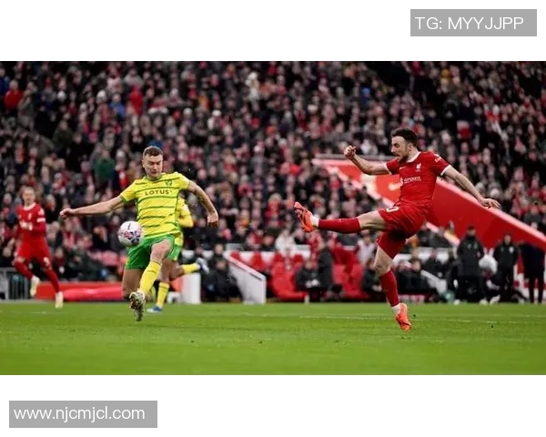 1314利物浦与诺维奇精彩对决全场录像回放及精彩瞬间解析
